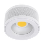 LED-230/10W WW WH светильник DL светодиодный