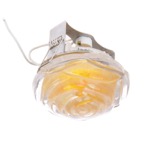 HDL-G14 YS светильник точечный декоративный